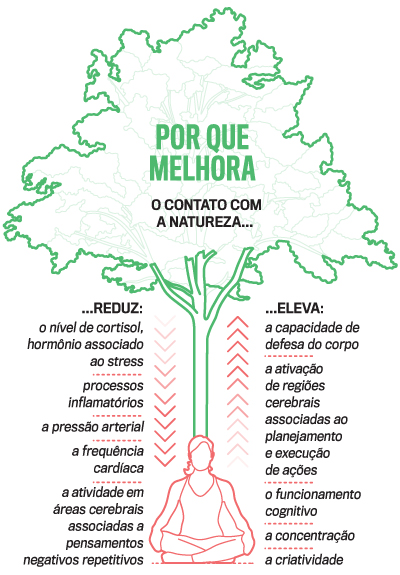 Alivia o Estresse: Como o Verde Acalma Sua Mente - inspiração 1