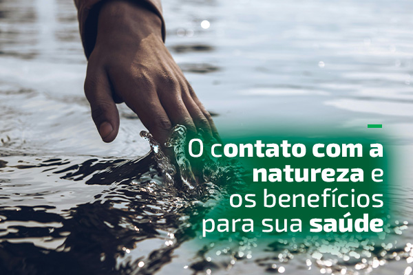 Alivia o Estresse: Como o Verde Acalma Sua Mente - inspiração 2
