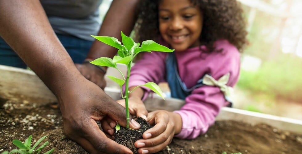 Promove Atividade Física: Movimente-se com Prazer ao Ar Livre - inspiração 2