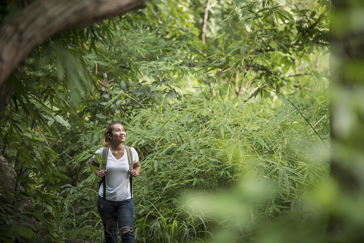 Conecta Você Consigo Mesma: Um Momento de Paz Interior - inspiração 1