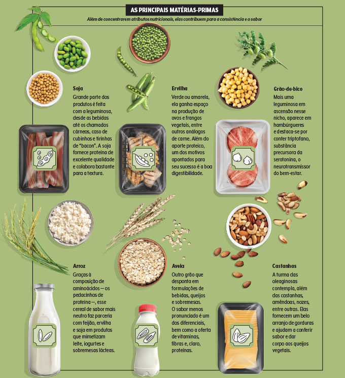 Saúde em Dia: A Força da Alimentação Vegana no Seu Bem-Estar - inspiração 1