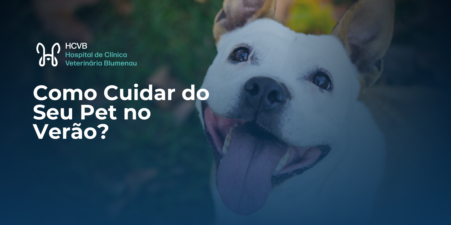 Alimentação Correta: O Segredo Para a Vitalidade - inspiração 1