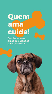 Alimentação Correta: O Segredo Para a Vitalidade - inspiração 2