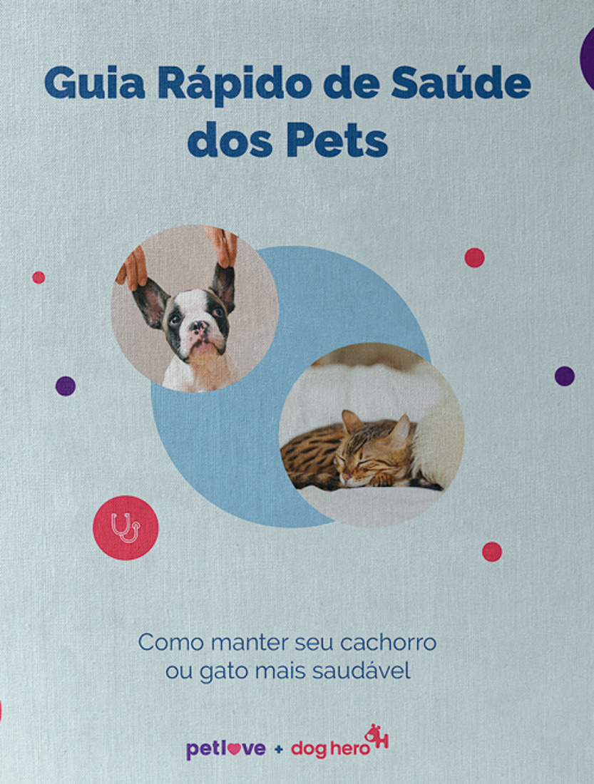 Higiene Essencial: Banho, Escovação e Saúde Bucal - inspiração 2