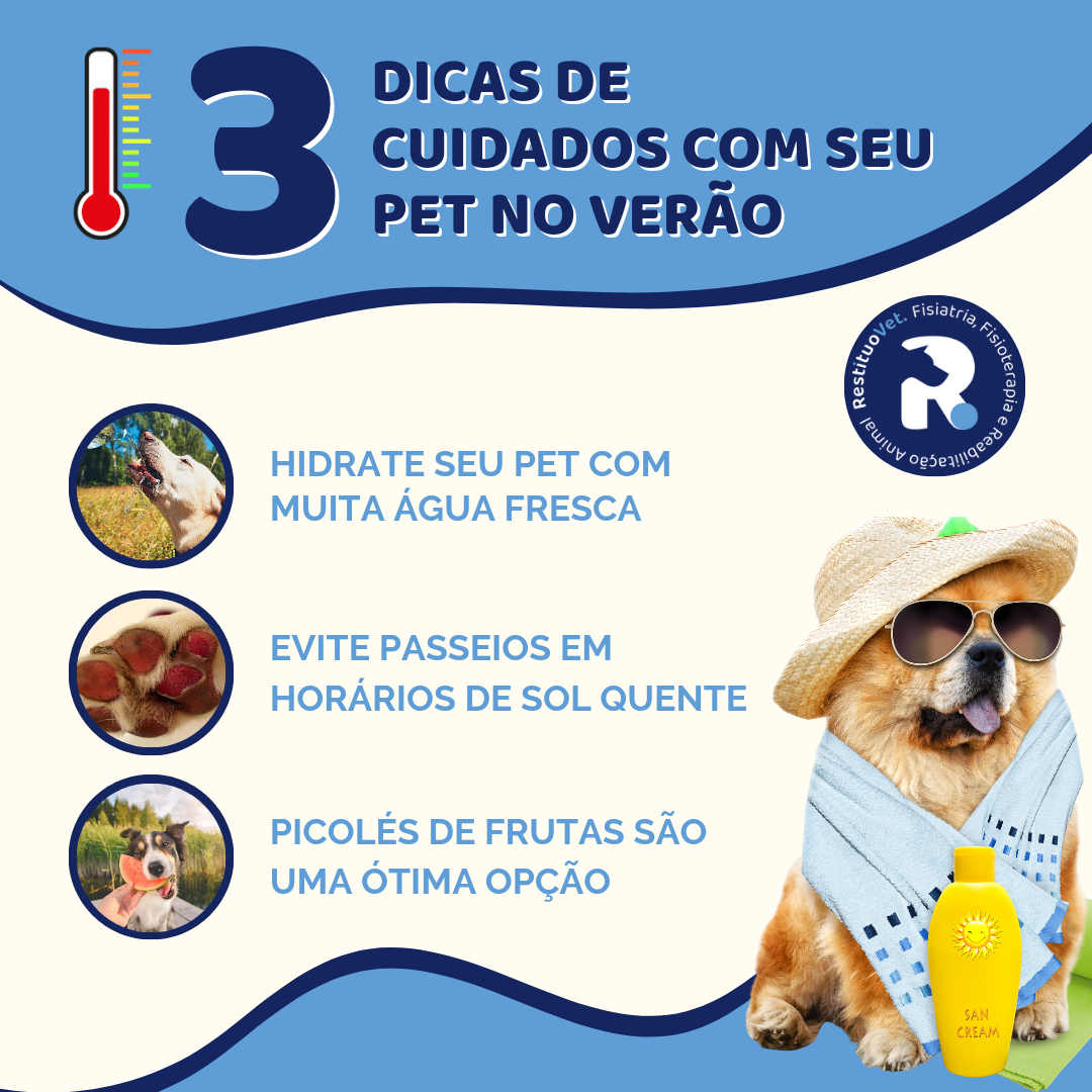 Exercícios e Brincadeiras: Mente Sã em Corpo São - inspiração 2