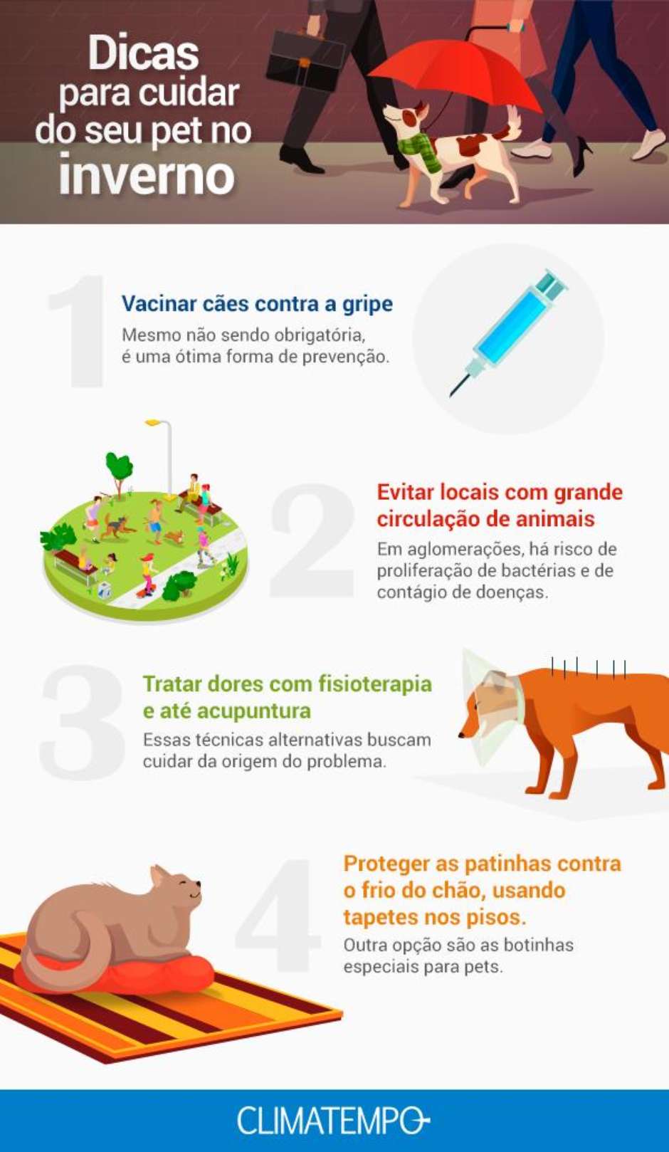 Identificação e Segurança: Protegendo Seu Pet - inspiração 1
