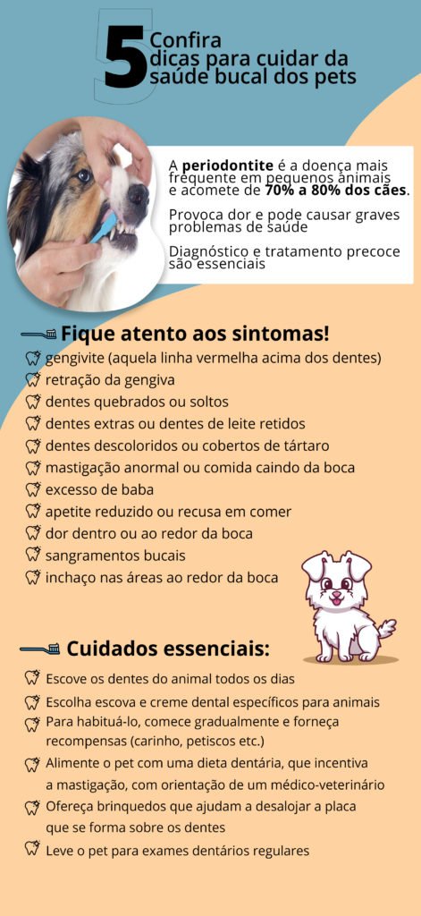 Identificação e Segurança: Protegendo Seu Pet - inspiração 2