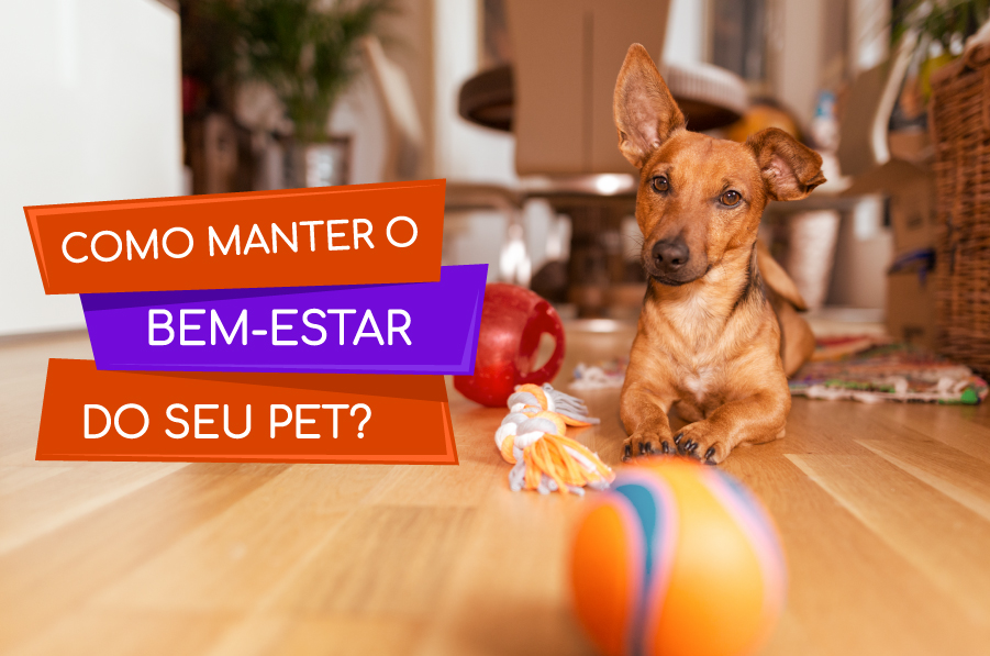 Cuidando da Saúde Mental: Atenção aos Sinais de Estresse - inspiração 1