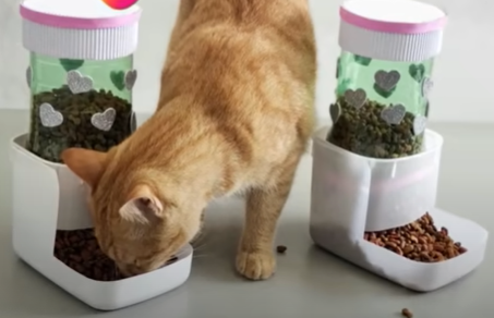 Personalizando o Bebedouro: Toques de Estilo e Funcionalidade - inspiração 1