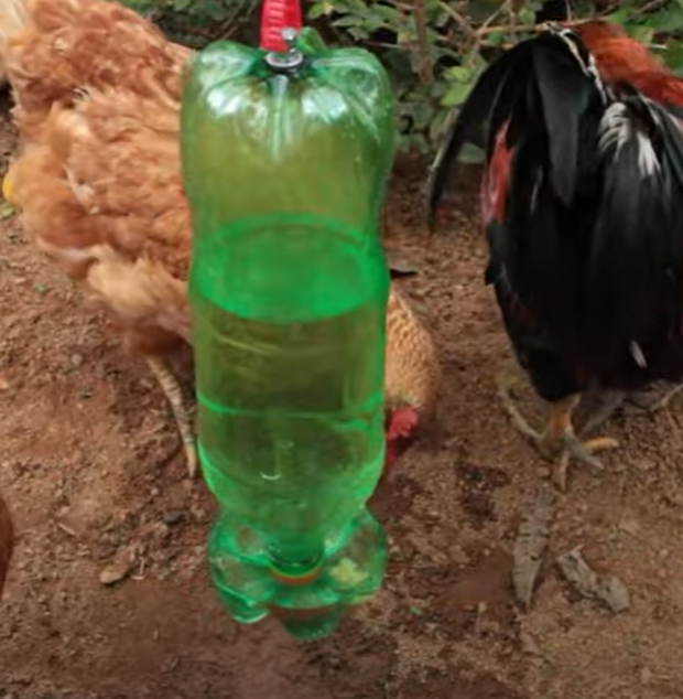 Preparando a Garrafa: Corte Estratégico para Fluxo Ideal - inspiração 1