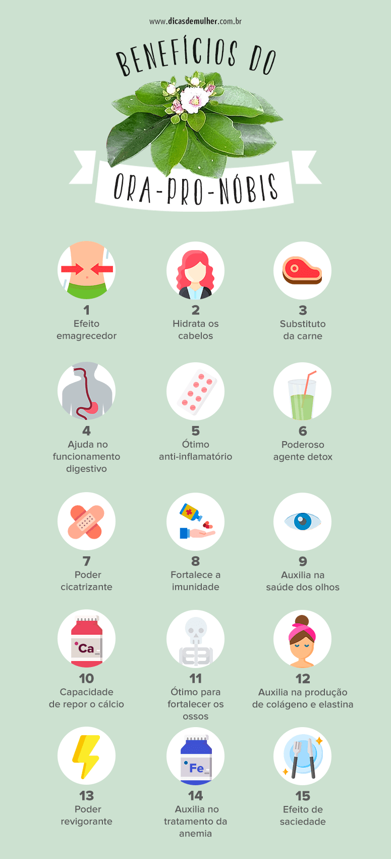 A Proporção Perfeita: Quanto Usar de Ora Pro Nobis Para um Chá Saboroso - inspiração 1