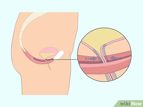 Incorporando os Exercícios na Rotina Diária Sem Esforço - inspiração 1