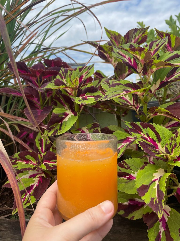 Personalizando sua Kombucha: Ideias Criativas de Sabores e Aromas - inspiração 1