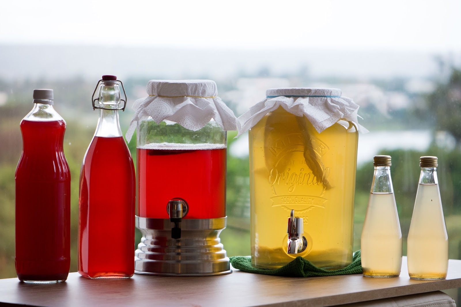 Preparando o Chá Base: A Base Saborosa da sua Kombucha - inspiração 2