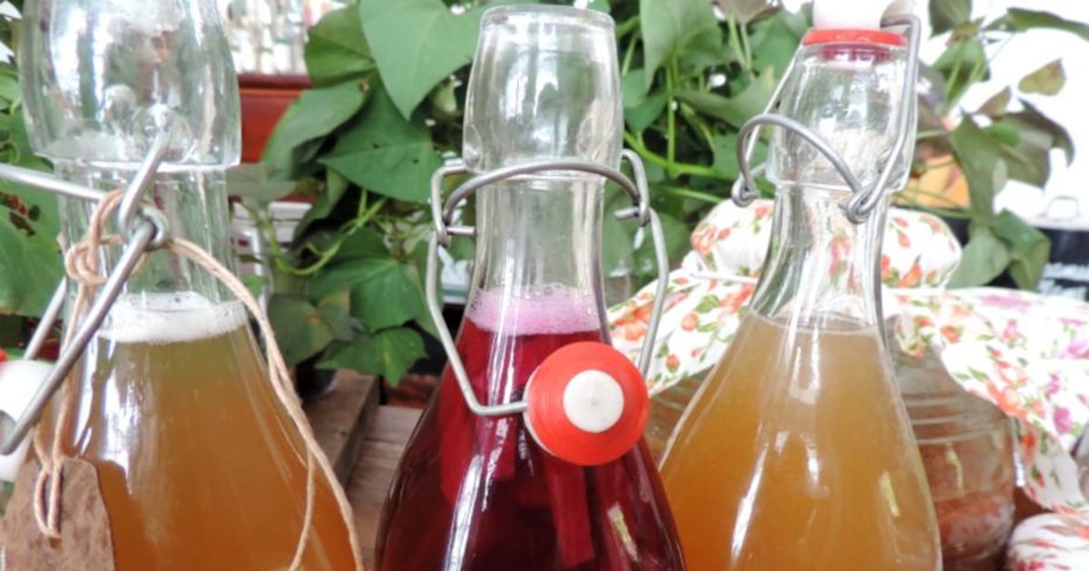 O Processo de Fermentação Primária: Onde a Mágica Acontece - inspiração 2