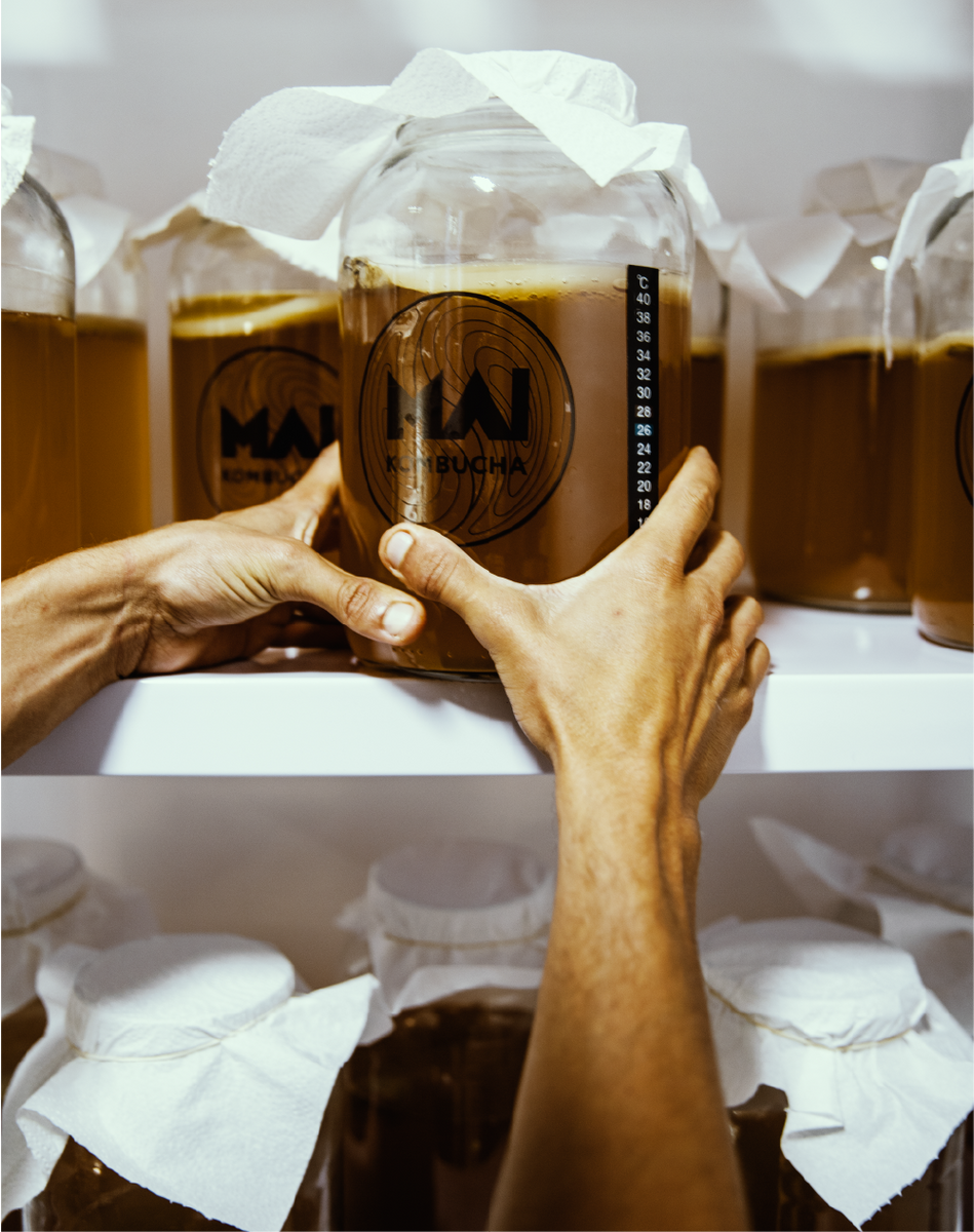 A Segunda Fermentação: Explorando Sabores e Carbonatação - inspiração 2