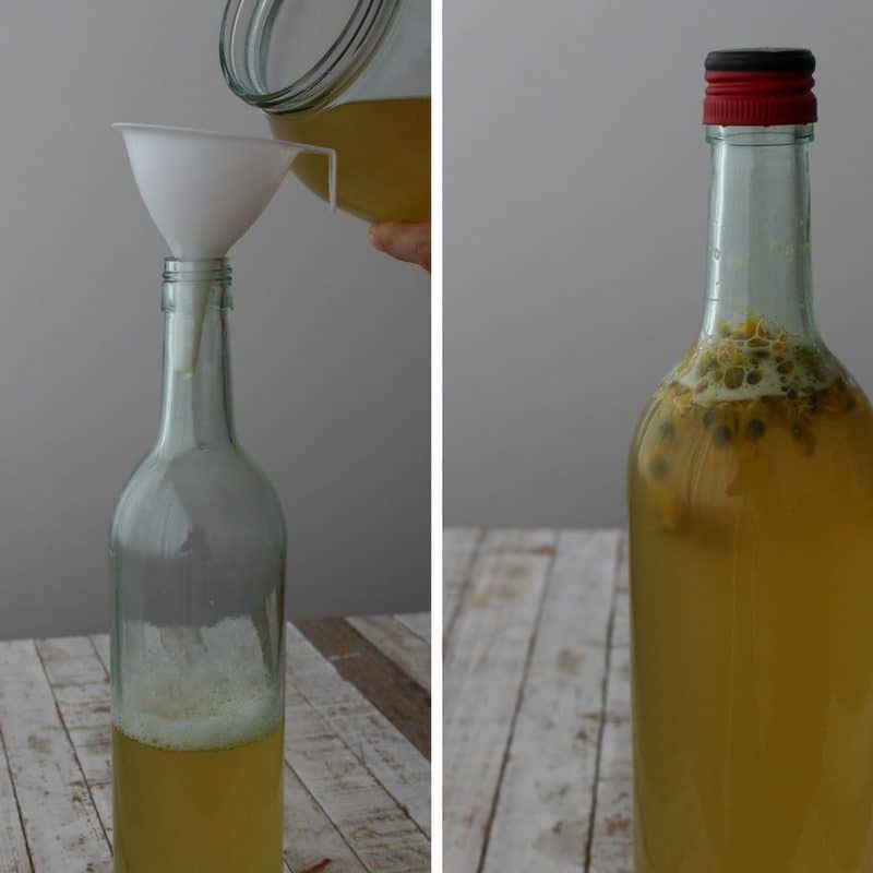 Envase e Armazenamento Correto da sua Kombucha Caseira - inspiração 2