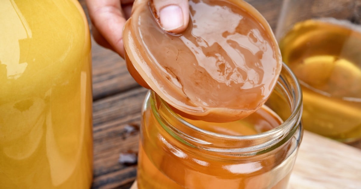 Dicas de Ouro para Evitar Problemas Comuns na Fermentação - inspiração 2