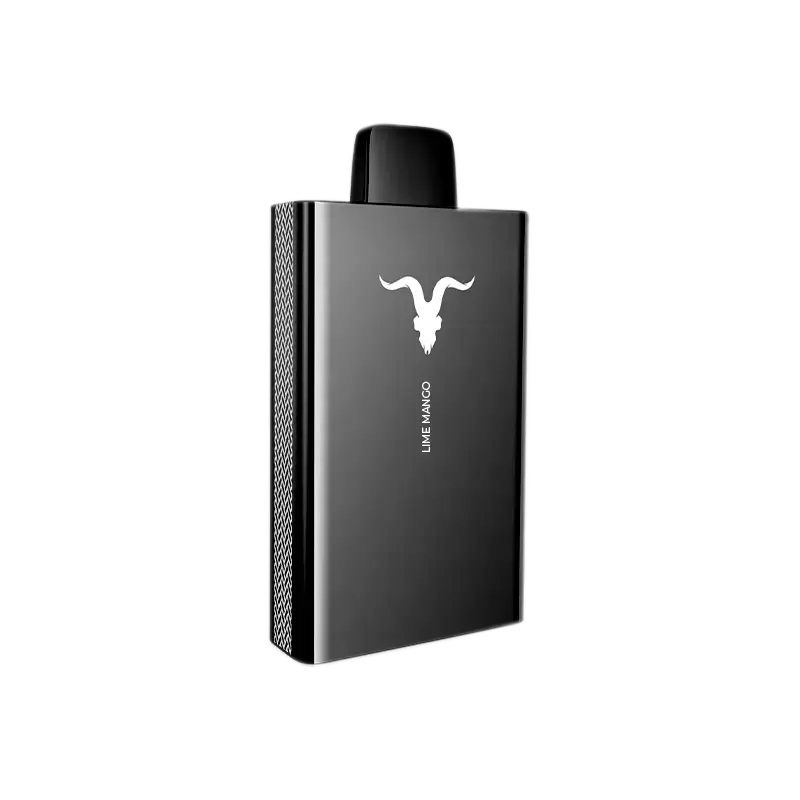 Carregamento Inteligente: O Segredo para a Saúde da Bateria - inspiração 2