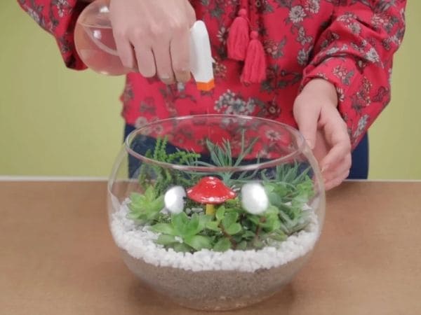 Escolhendo o Vaso Ideal: Transparência e Tamanho Contam Muito - inspiração 2