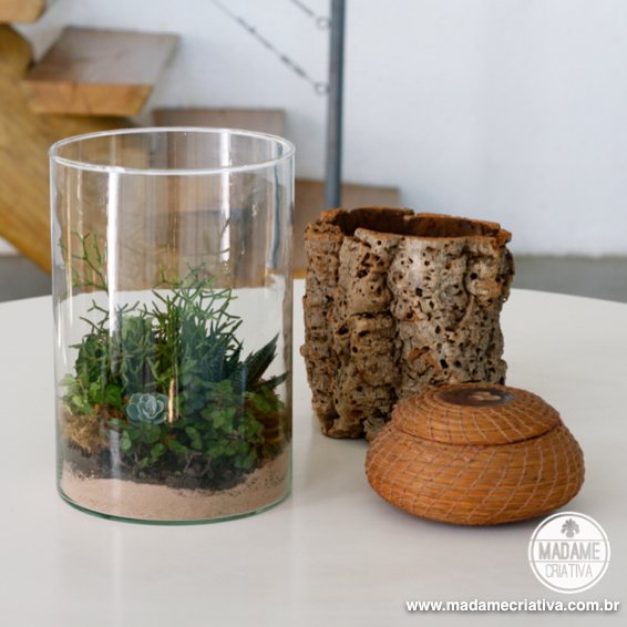 O Substrato Certo: Nutrição e Suporte para um Crescimento Saudável - inspiração 1