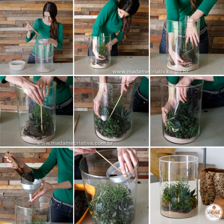 O Substrato Certo: Nutrição e Suporte para um Crescimento Saudável - inspiração 2