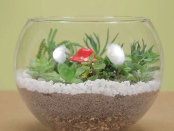 Selecionando as Plantas: Pequenas Gigantes que Amam Ambientes Úmidos - inspiração 1