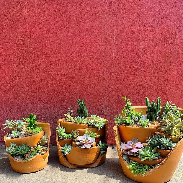 O Toque Final: Elementos Decorativos Que Dão Personalidade ao Seu Terrário - inspiração 2