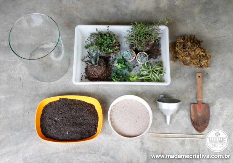 Manutenção Simples: Dicas Para Manter Seu Terrário Sempre Belo - inspiração 2