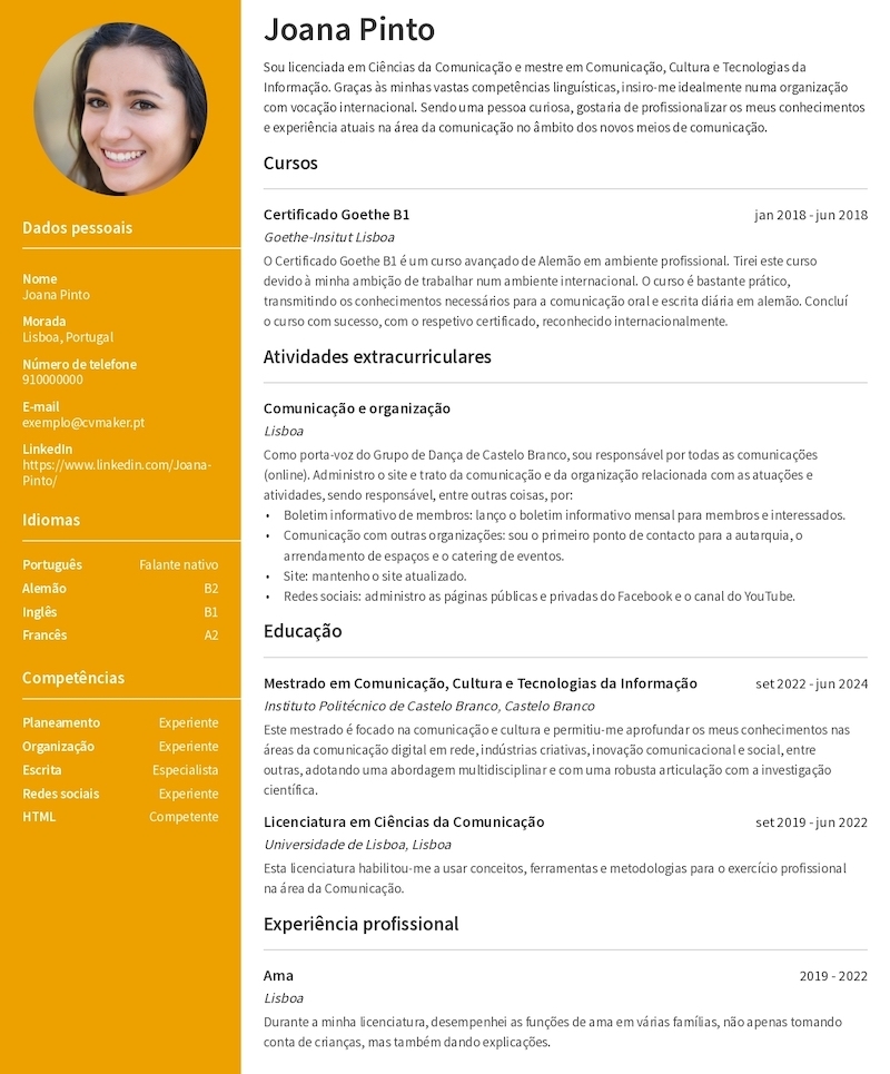 Habilidades: Linguagens e Ferramentas que Você Domina - inspiração 1