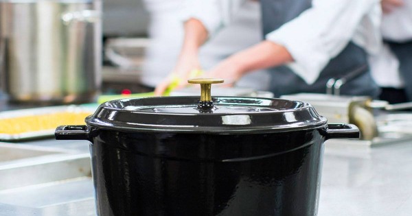 A Oleosidade de Proteção: O Toque Final Essencial - inspiração 2