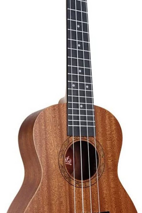 Leia Avaliações de Outros Músicos sobre o Equipamento - inspiração 1