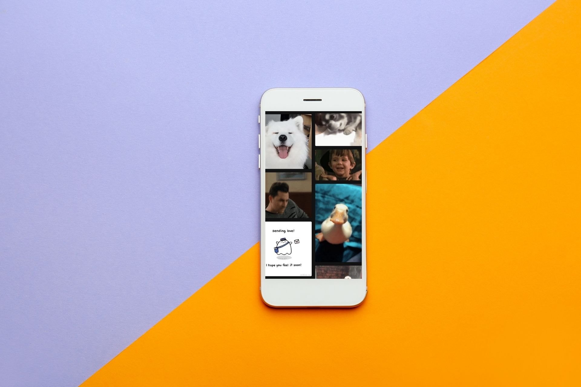 Otimizando o Tamanho e a Qualidade do Seu GIF - inspiração 1