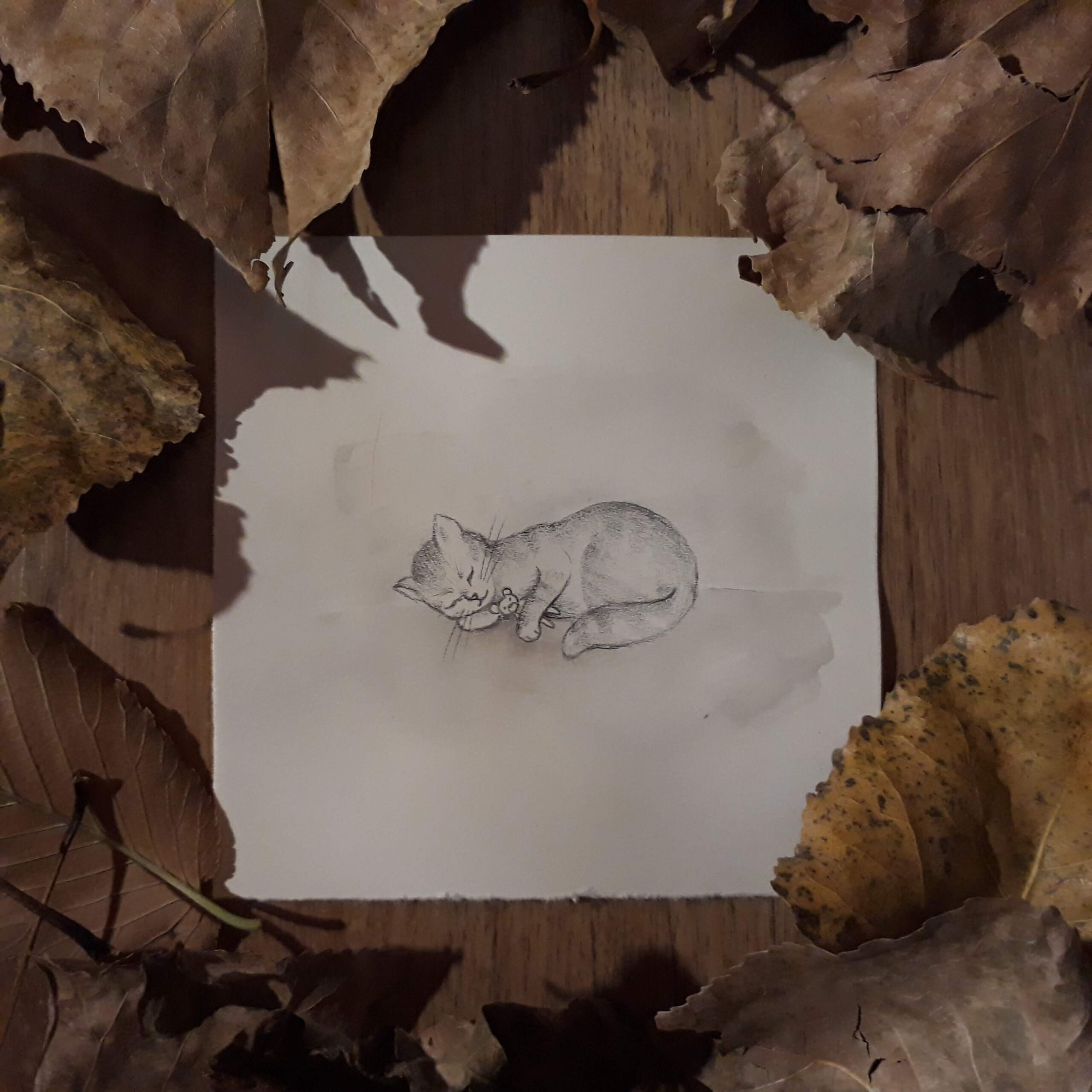 Otimizando o Tamanho e a Qualidade do Seu GIF - inspiração 2