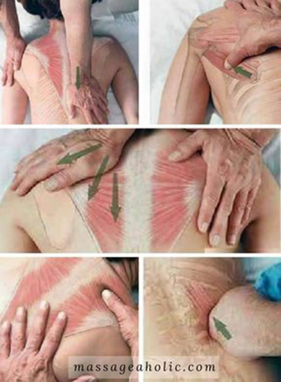 O Poder dos Óleos Essenciais: Escolha Certa para Máximos Efeitos - inspiração 1