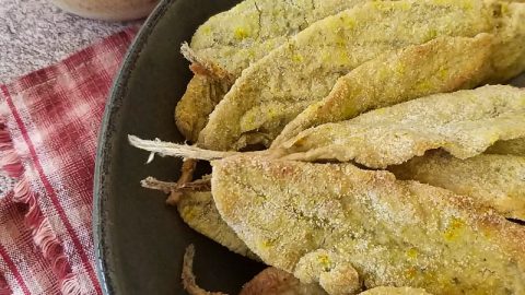 Variedades e Diferenças Sutis Entre Elas - inspiração 2