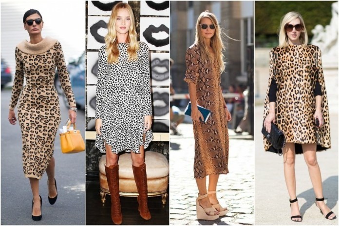 Onça: A Versatilidade Que Você Precisa Conhecer - inspiração 2