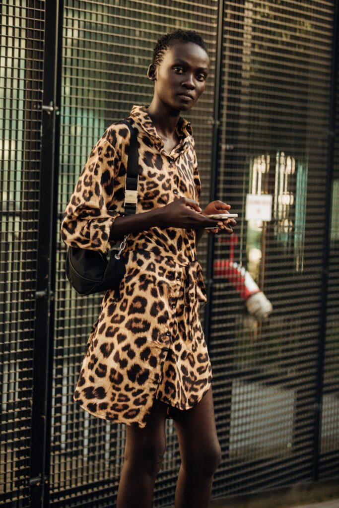 Cores Inesperadas no Animal Print: Reinvente a Estampa - inspiração 2