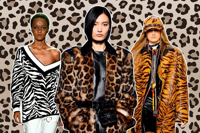 Zebra: O Poder do Contraste no Seu Visual - inspiração 1