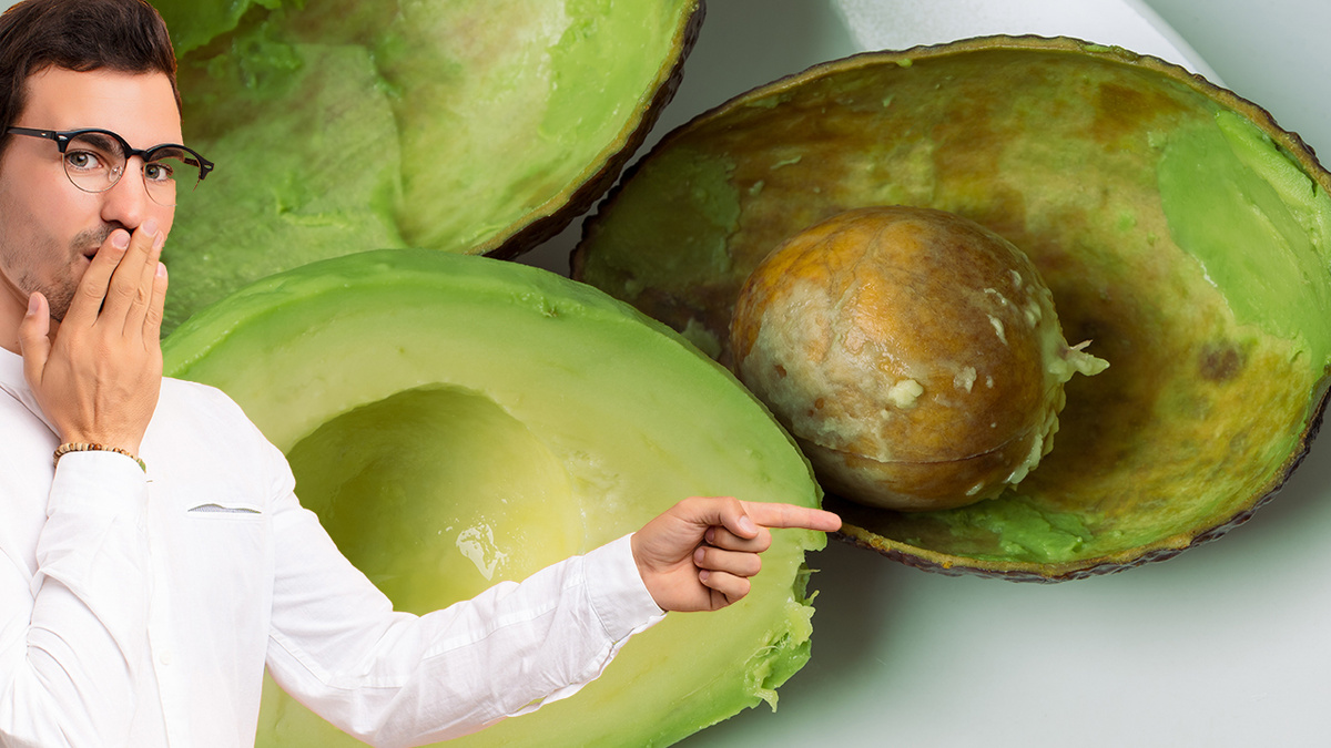 melhores receitas com abacate saudavel