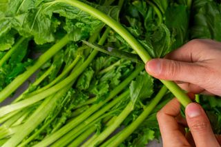 acelga benefícios para saúde