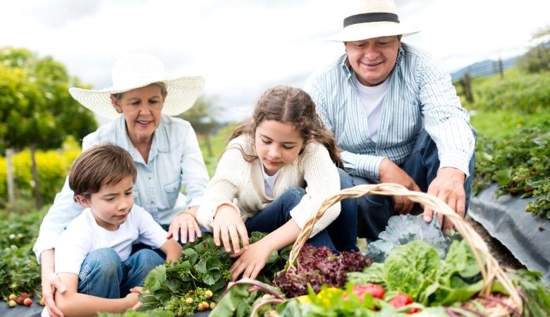 Agricultura familiar