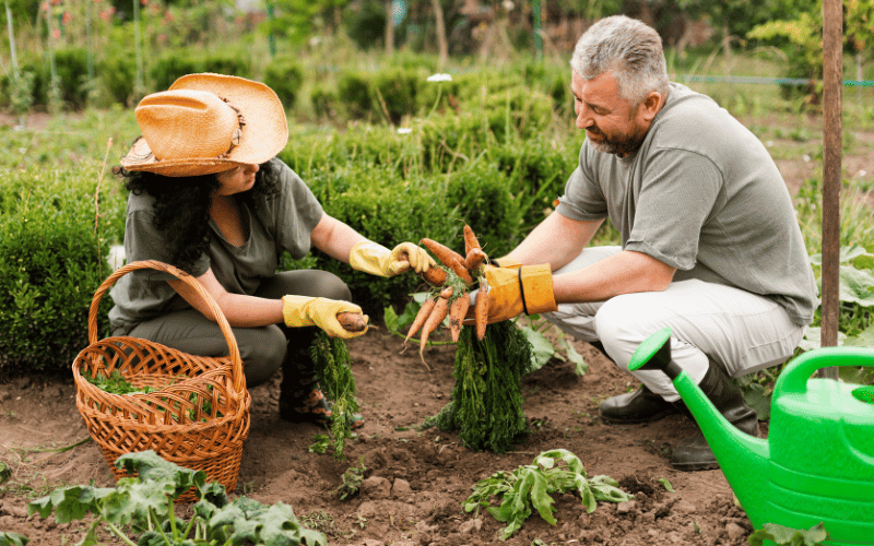 erros comuns ao iniciar na agricultura familiar