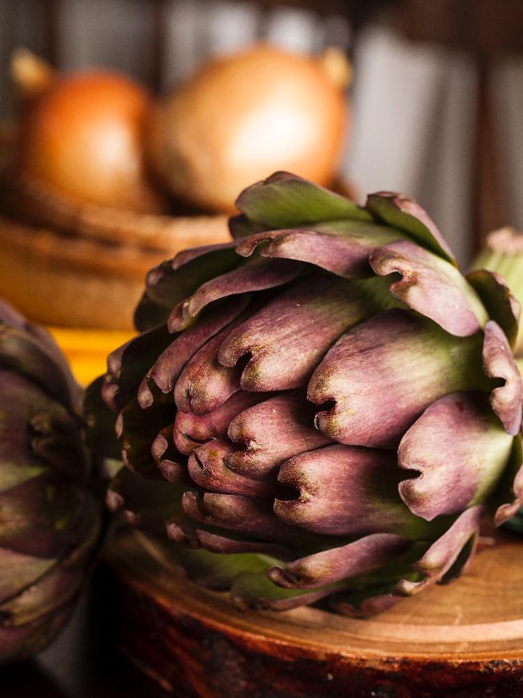 alcachofra e a saúde do fígado