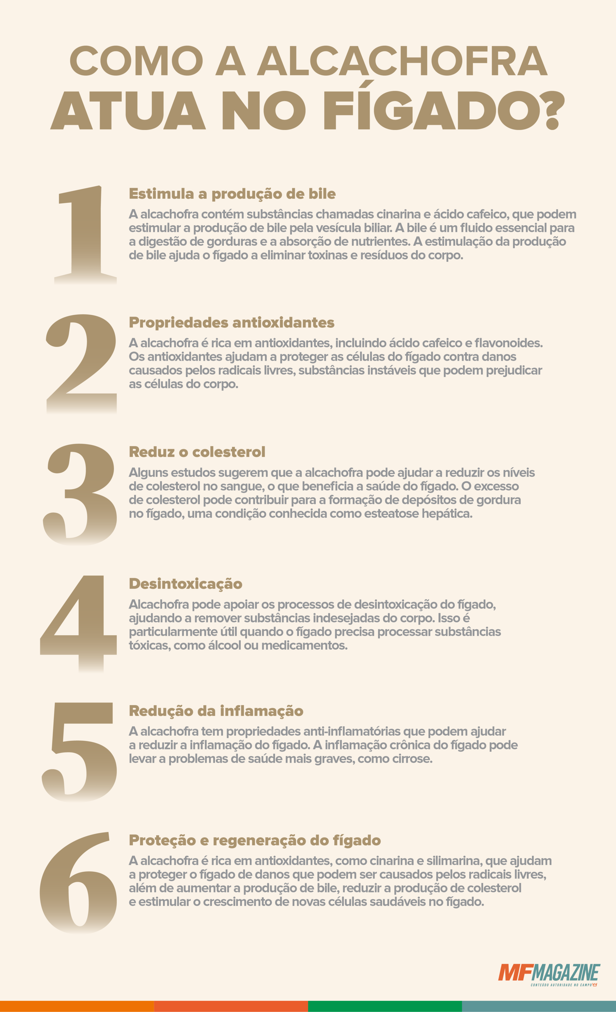 alcachofra e a saúde do fígado