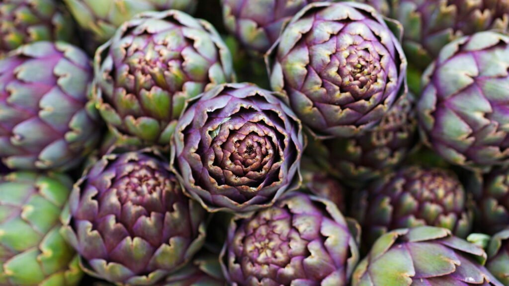 alcachofra e a saúde do fígado