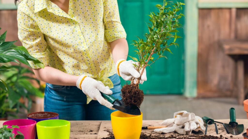 benefícios da jardinagem