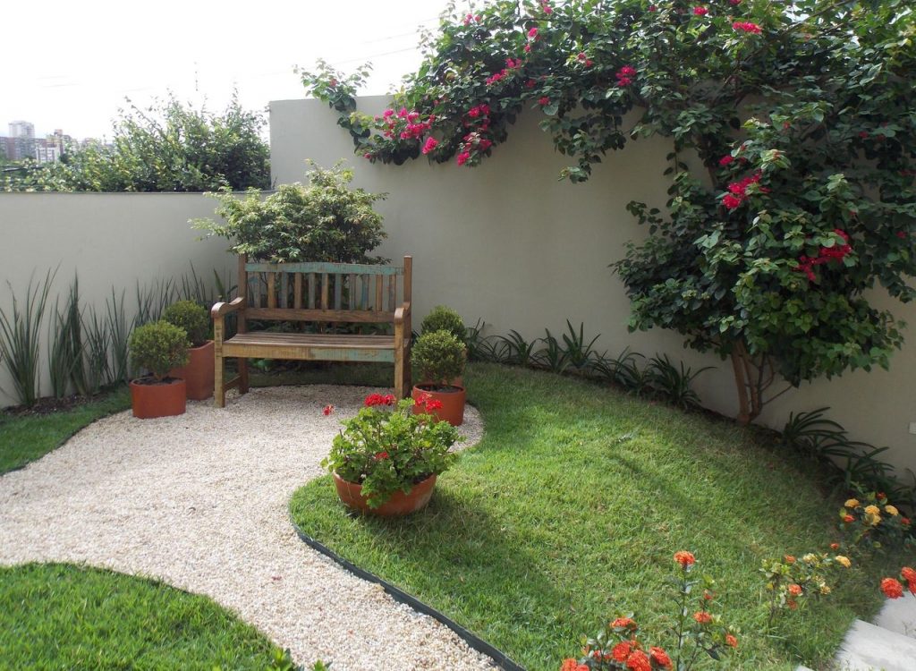 beneficios da jardinagem para iniciantes