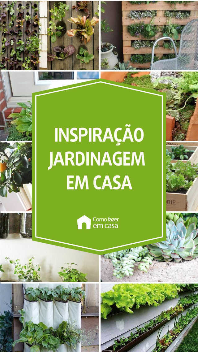 erros comuns ao começar a jardinagem