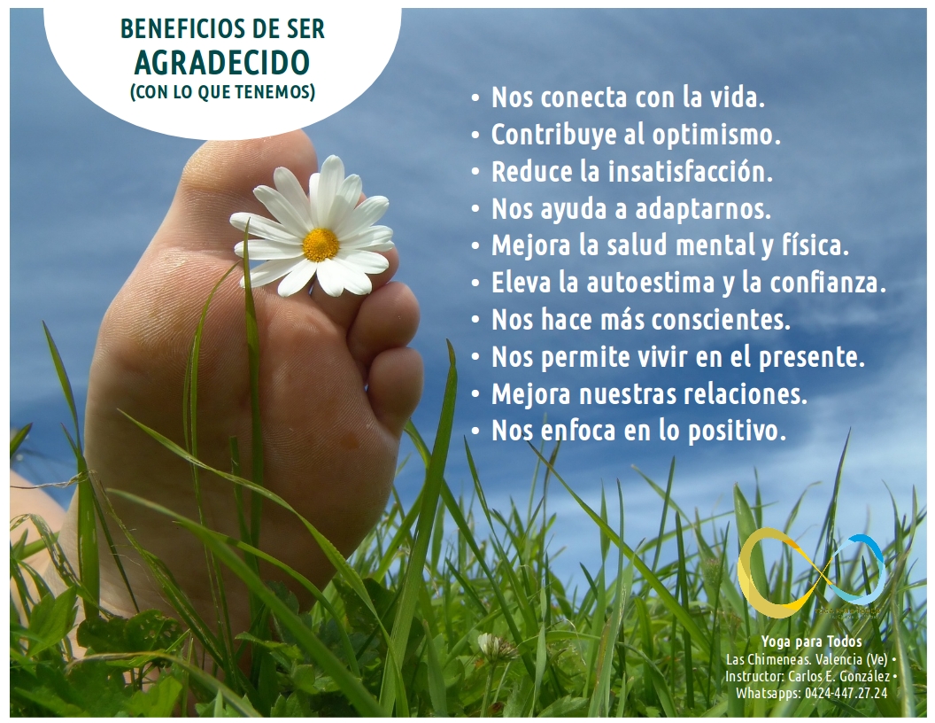 A Ciência por Trás dos Benefícios Físicos da Gratidão